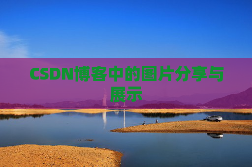 CSDN博客中的图片分享与展示